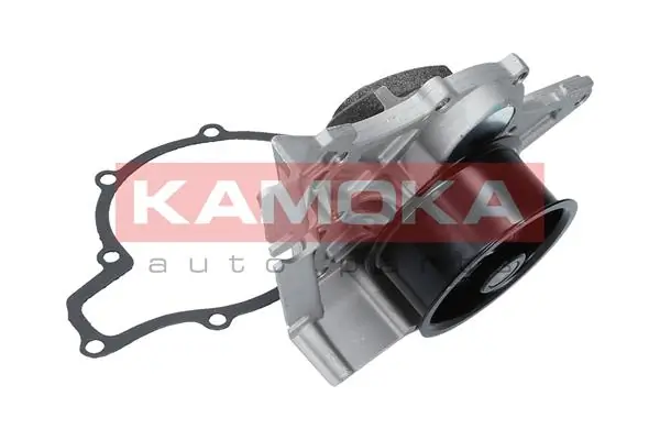 T0039 Kamoka Насос охолодження