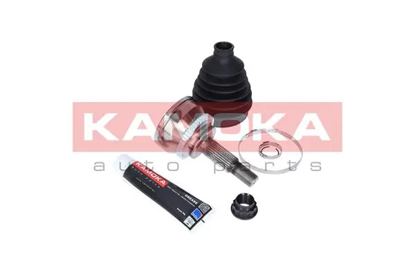 6135 Kamoka Граната зовнішня