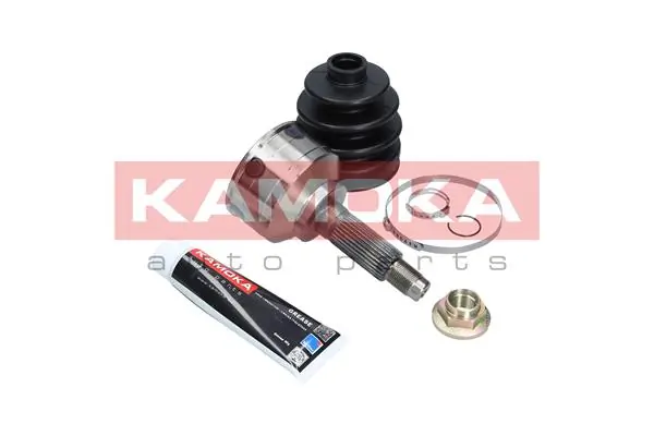 6009 Kamoka Граната зовнішня