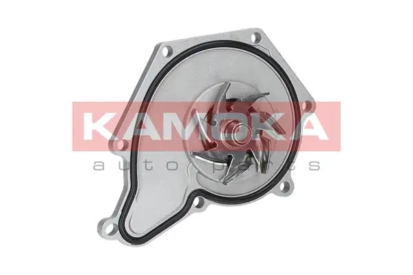 T0035 Kamoka Насос охолодження