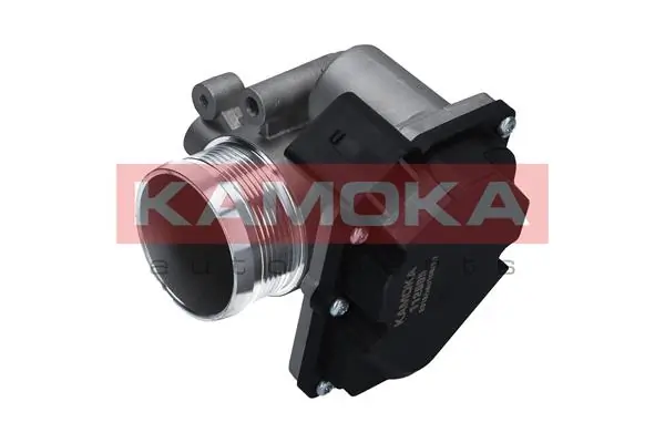 Дросільна заслінка E110032 Polcar