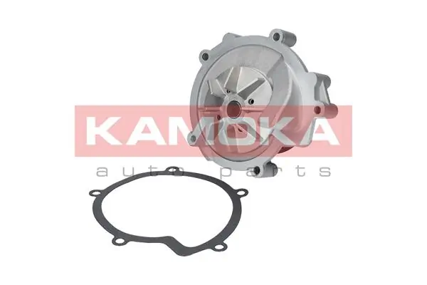 T0100 Kamoka Насос охолодження