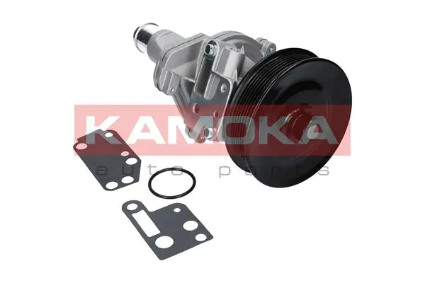 T0142 Kamoka Насос охолодження