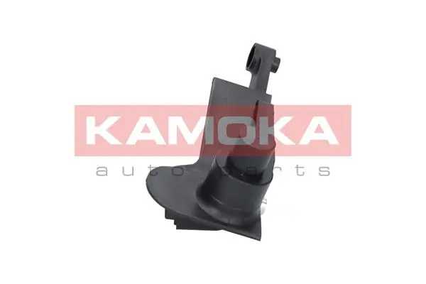 109024 Kamoka ДПКВ