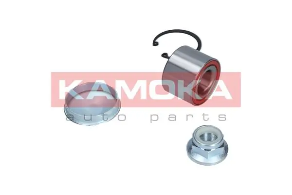 Купити 5600011 Kamoka Підшипник задньої ступиці