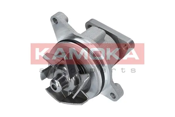 T0136 Kamoka Насос охолодження