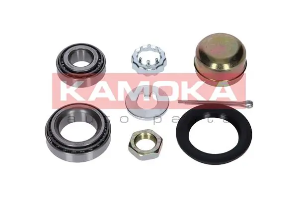 Купити 5600073 Kamoka Підшипник задньої ступиці