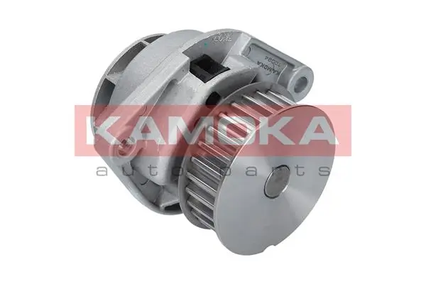 T0024 Kamoka Насос охолодження