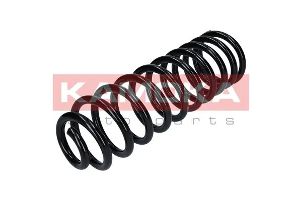 0048209 GKN-Spidan Пружина підвіски задня