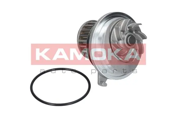 Помпа R0541 Racer