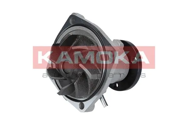T0011 Kamoka Насос охолодження