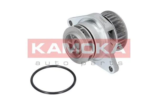 T0249 Kamoka Помпа водяна, корпус