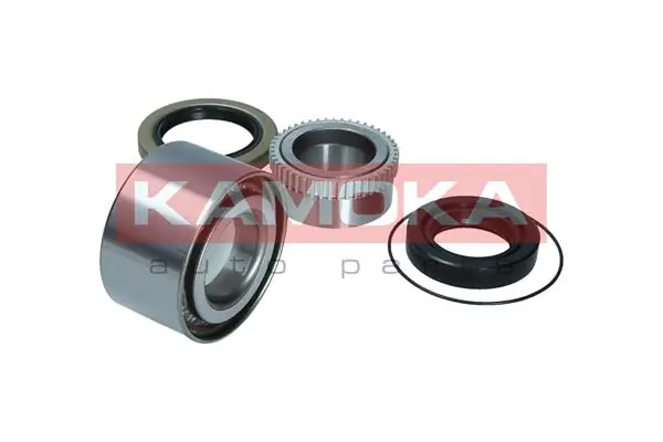 Купити 5600193 Kamoka Підшипник задньої ступиці