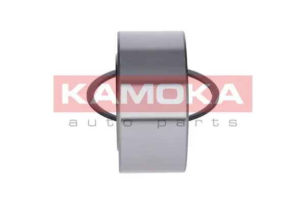 Купити 5600063 Kamoka Підшипник ступиці передньої