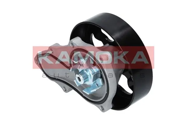 T0146 Kamoka Насос охолодження