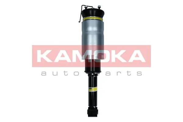 Стійка передня на Land Rover Range Rover SPORT I L320