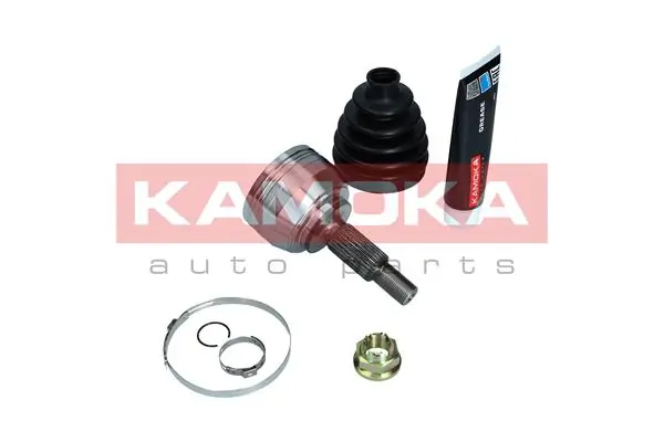 6996 Kamoka Граната зовнішня