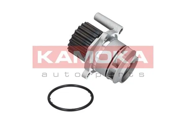T0023 Kamoka Насос охолодження