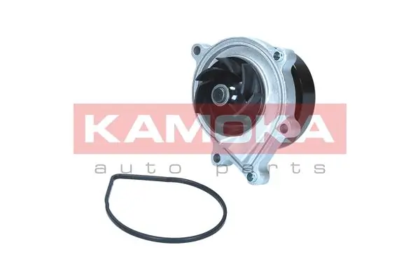 T0299 Kamoka Насос охолодження