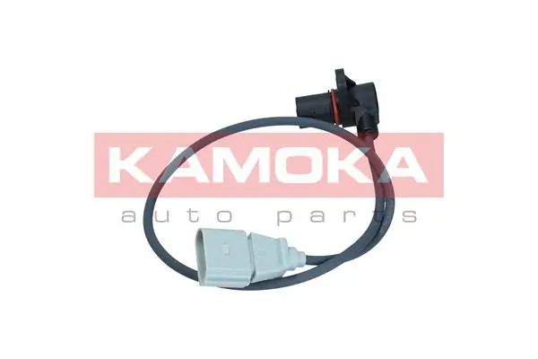 109008 Kamoka ДПКВ