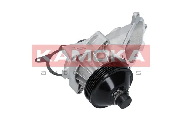 T0063 Kamoka Насос охолодження