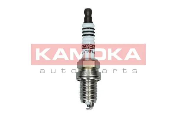Свічки Ford 5099775