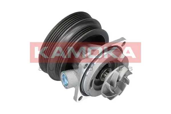 T0112 Kamoka Насос охолодження
