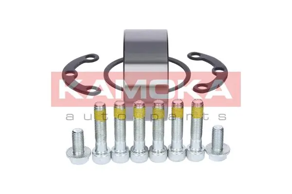 Купити 5600064 Kamoka Підшипник задньої ступиці
