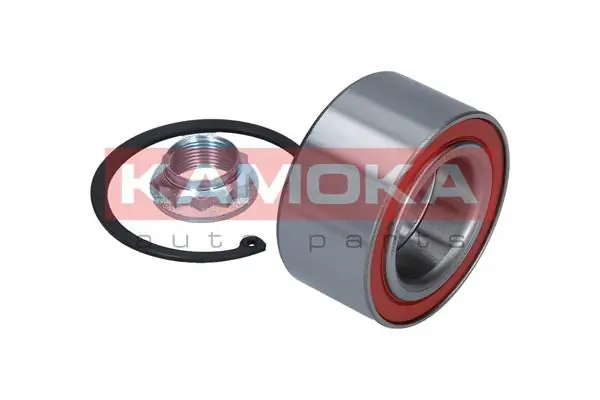 Купити 5600079 Kamoka Підшипник задньої ступиці