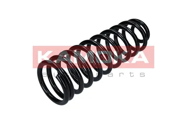 Купити 0048209 GKN-Spidan Задні пружини