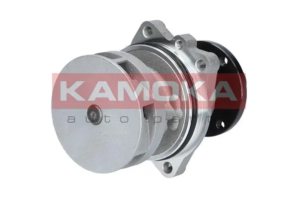 T0058 Kamoka Насос охолодження
