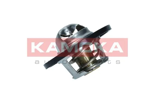 Купити 7710072 Kamoka Термостат в корпусі