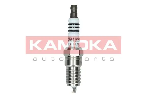 Свіча запалювання на Ford C-Max  DM2