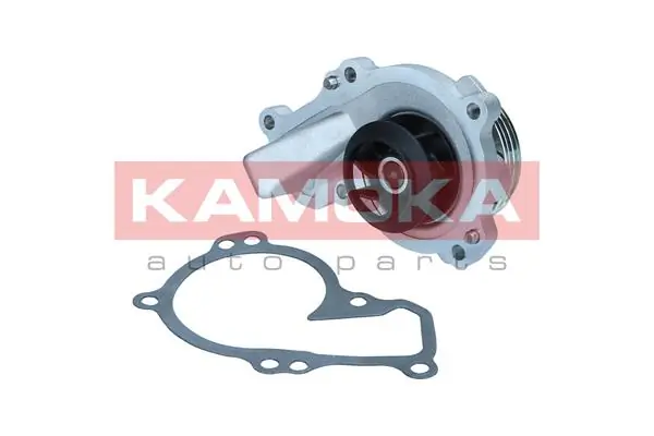T0295 Kamoka Насос охолодження