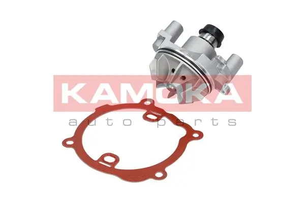 T0216 Kamoka Насос охолодження