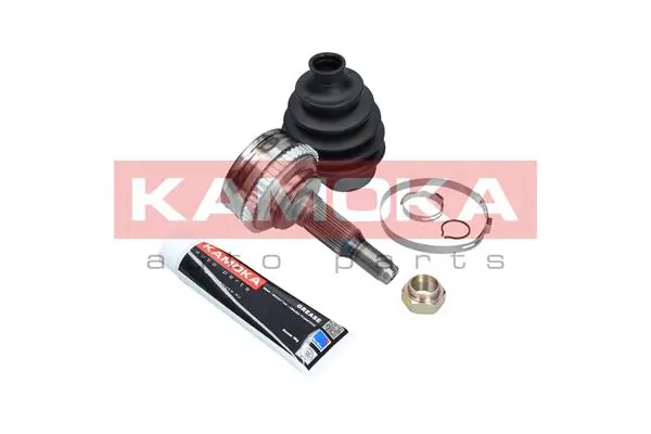 6003 Kamoka Граната зовнішня