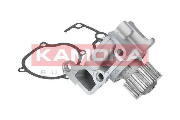T0170 Kamoka Насос охолодження