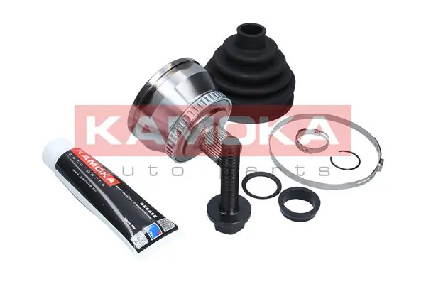 6560 Kamoka Граната зовнішня