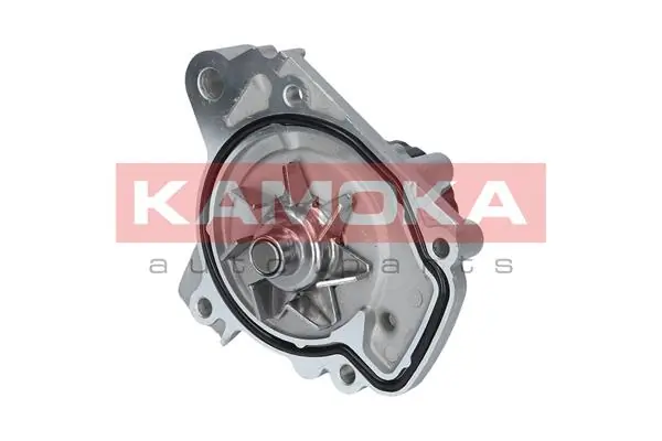 T0148 Kamoka Насос охолодження