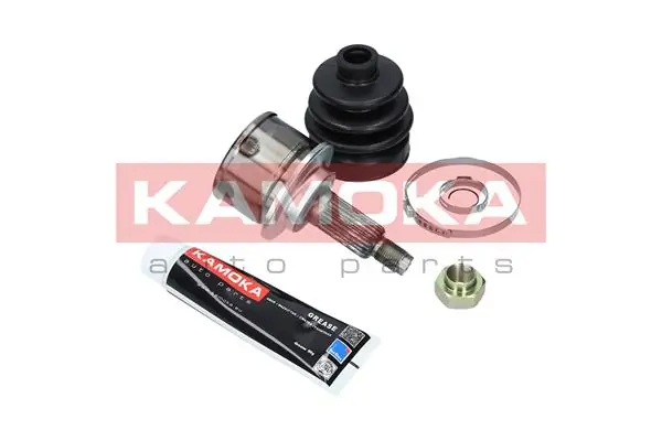 6123 Kamoka Граната зовнішня