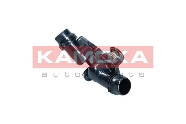 Купити 7710005 Kamoka Термостат в корпусі
