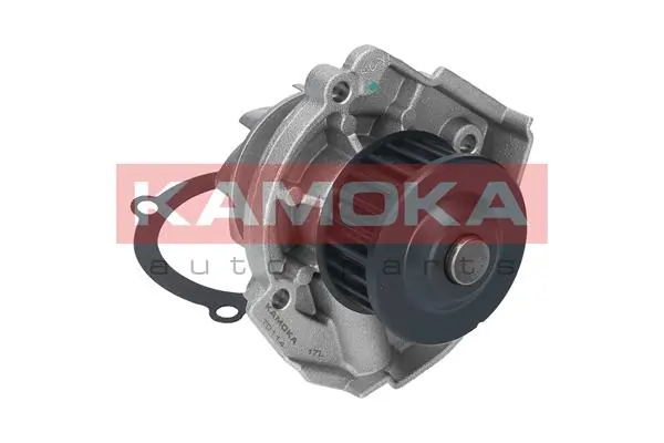 T0114 Kamoka Насос охолодження
