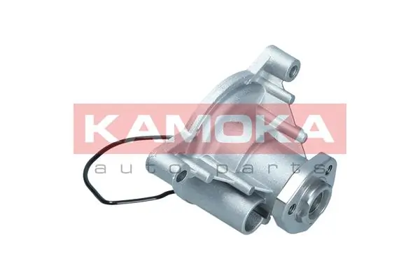 T0021 Kamoka Насос охолодження
