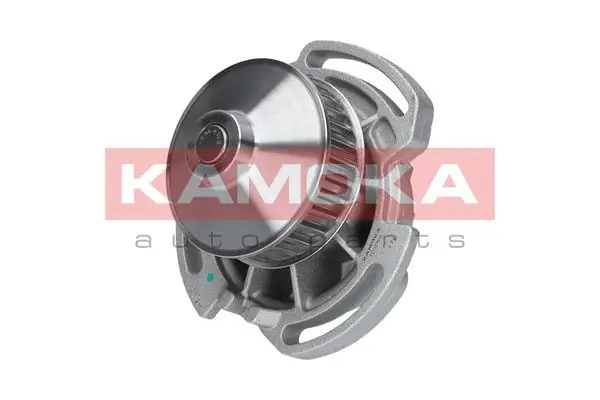 Помпа охолодження Kamoka T0254 ціна, від 26.33 USD