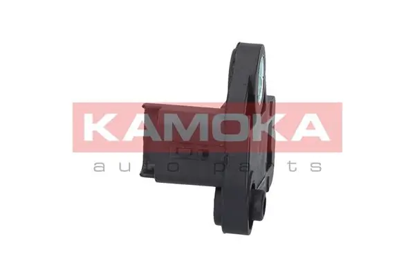109022 Kamoka ДПКВ