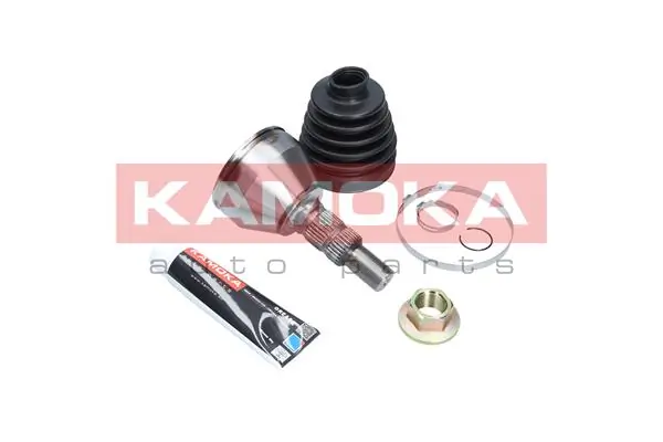 6039 Kamoka Граната зовнішня