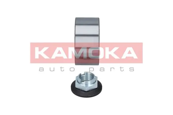 5600018 Kamoka Підшипник маточини передньої
