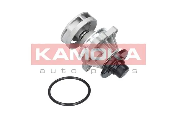 T0059 Kamoka Насос охолодження