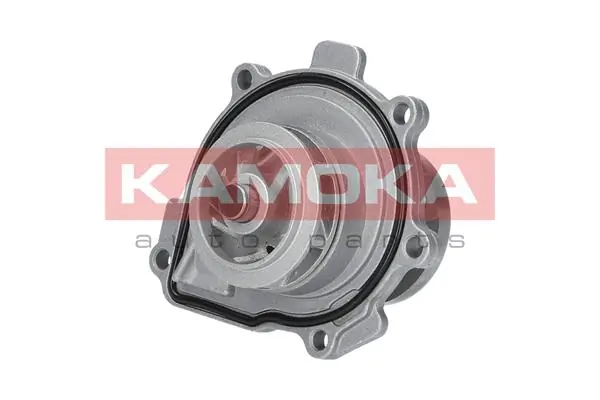 T0009 Kamoka Насос охолодження