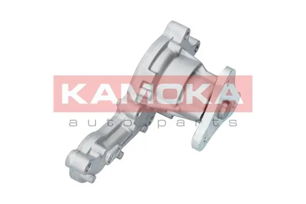 T0150 Kamoka Насос охолодження